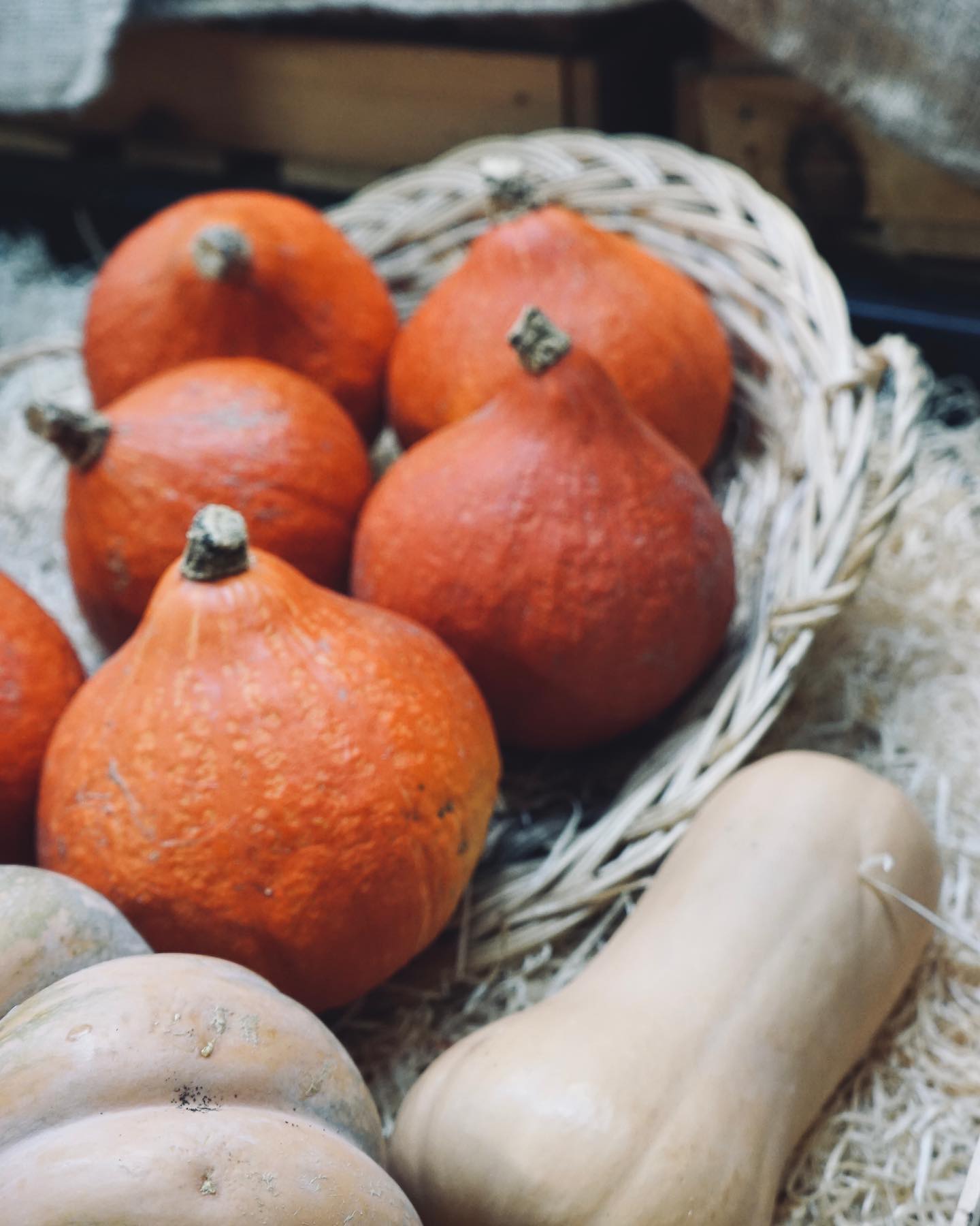 Mon Potager Gourmand