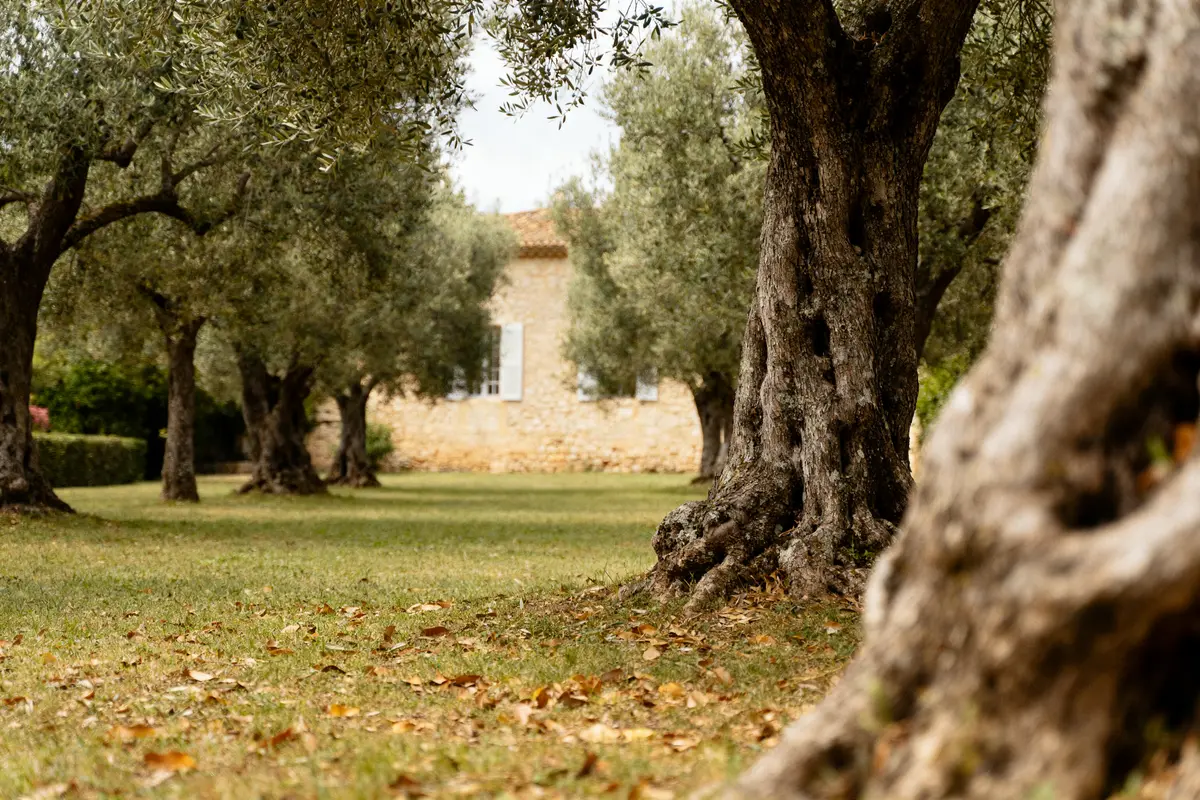 Bastide du Roy à Antibes : mariages, événements &amp; tarifs 2026