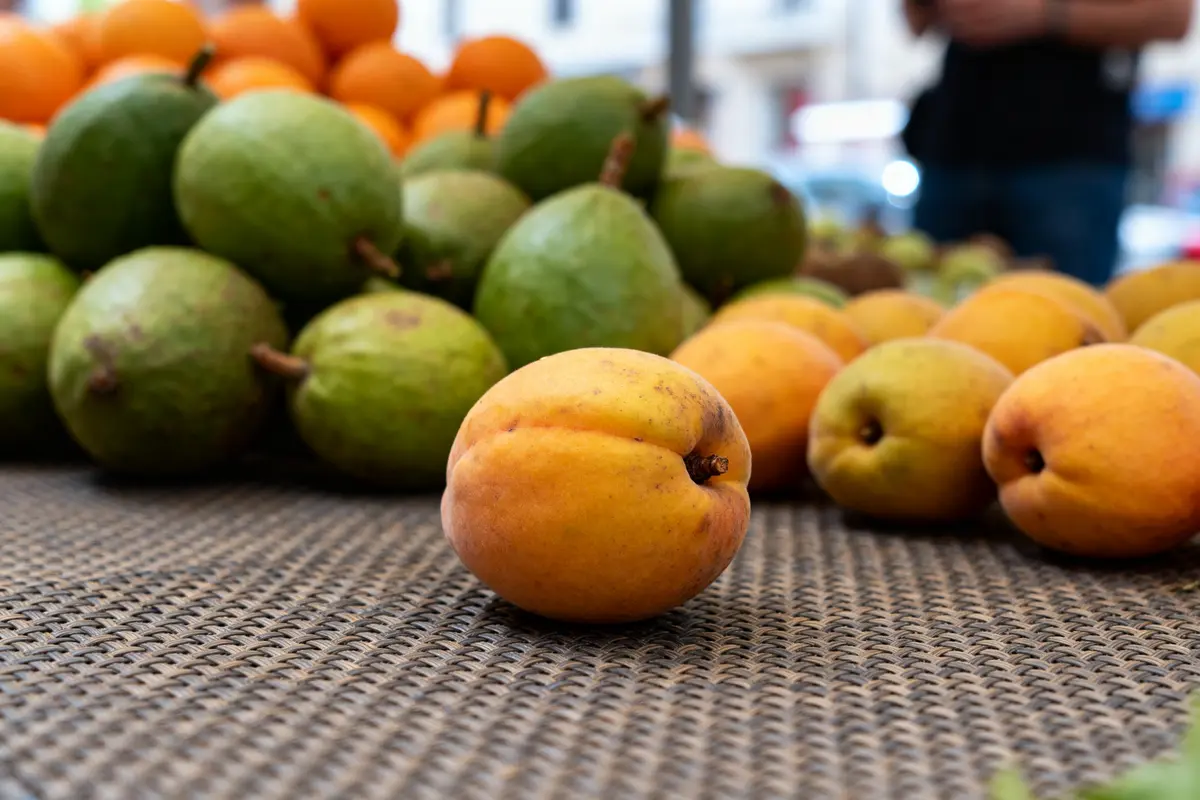 Fruit en Q : liste complète des fruits méconnus à découvrir