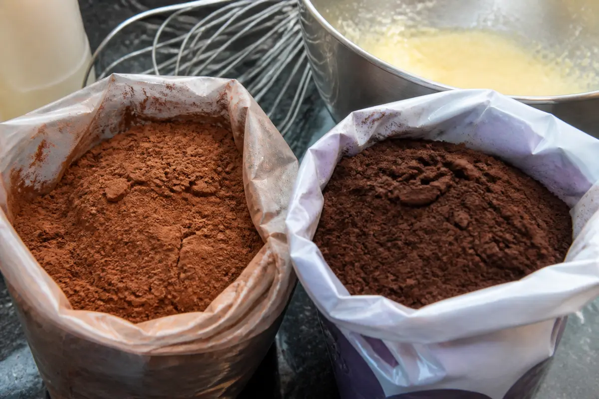 Cacao pour gâteau : Comment choisir et réussir vos recettes ?