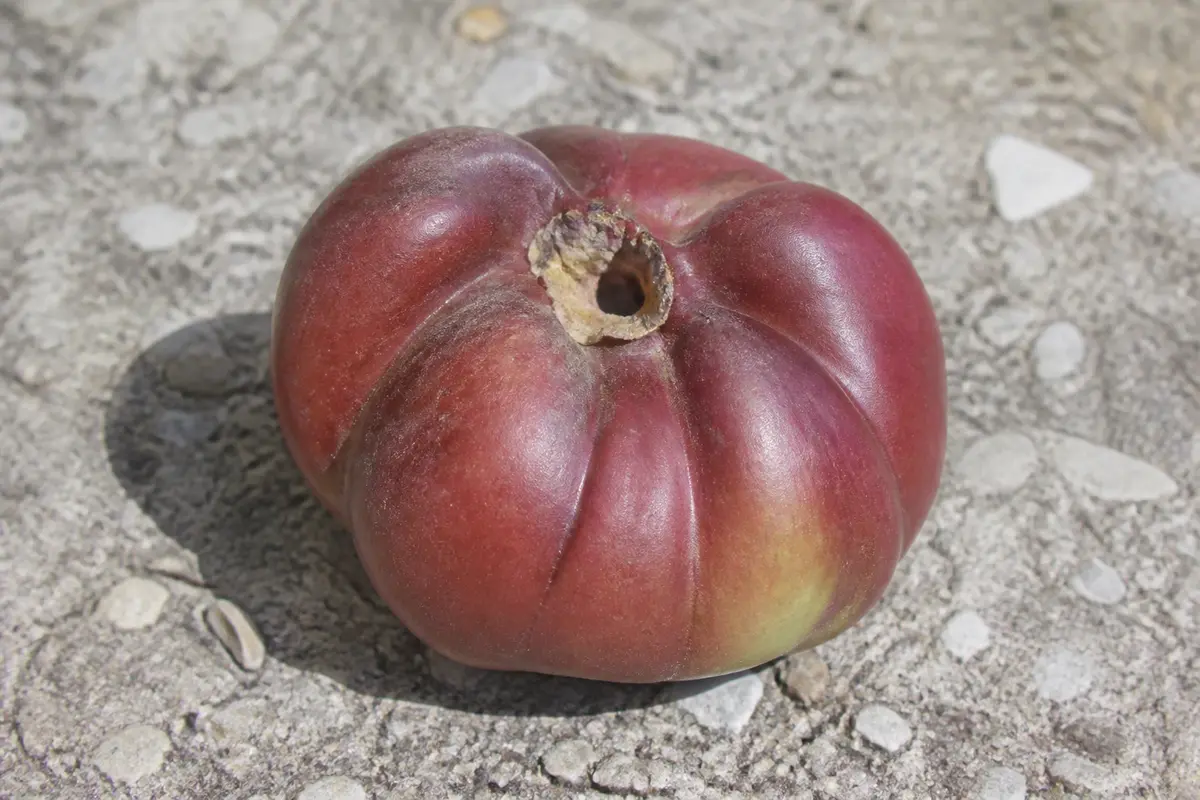 Fruits commençant par I : Liste complète à découvrir