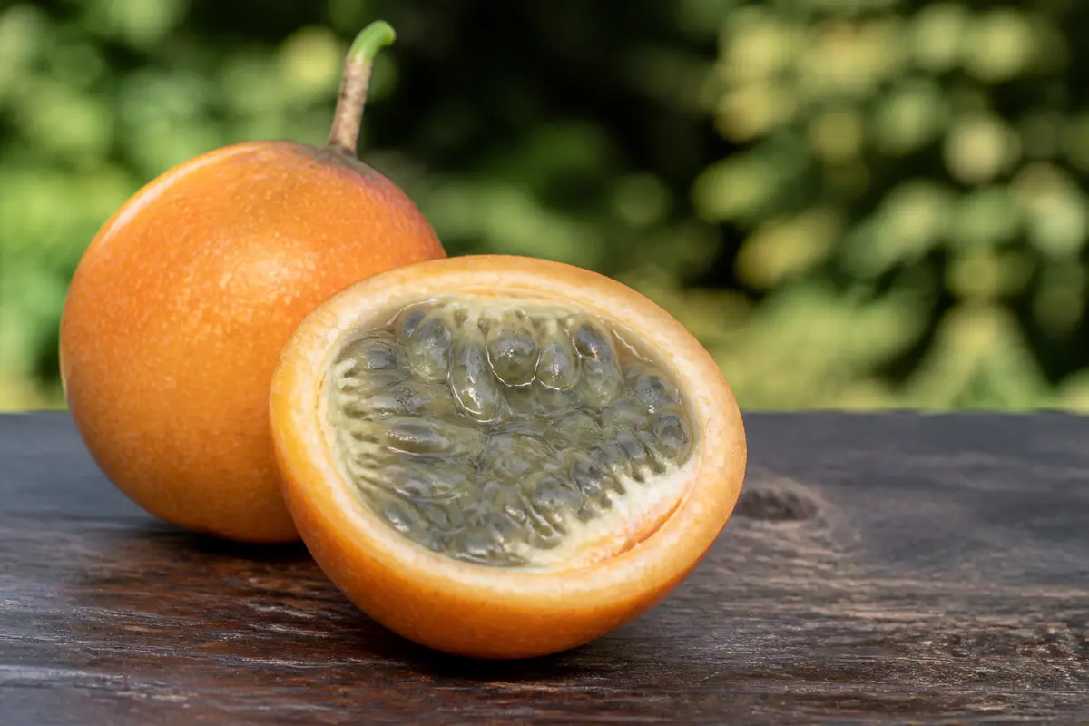 Fruit exotique orange : Découvrez noms, saveurs et secrets